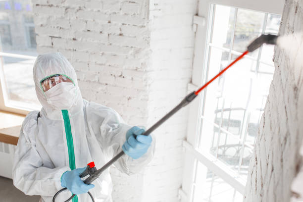 Best Air Quality Testing for Mold Spores  in Brainerd, MN