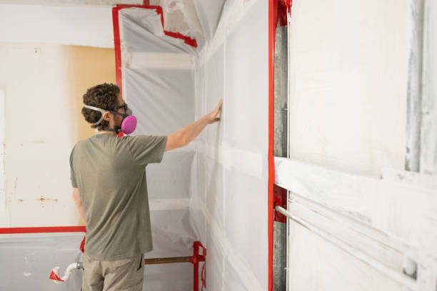 Best Residential Mold Inspection & Testing  in Brainerd, MN
